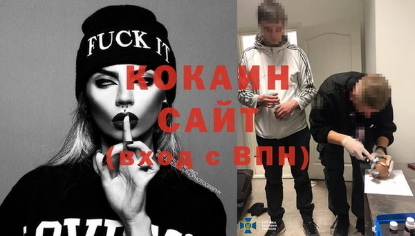 бошки Белокуриха