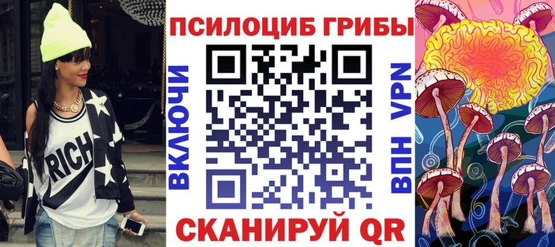дарнет шоп  Дегтярск  Галлюциногенные грибы Psilocybine cubensis 